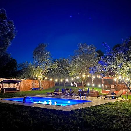 Horace Guesthouse Pool & Hot Tub & Bikes & River Dejani Exterior photo